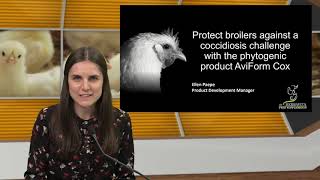 Webinar Poultry World Protect broilers against a coccidiosis challenge with AviForm Cox [upl. by Llerehc]