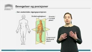 Skjelett Bevegelse og posisjoner [upl. by Louella]