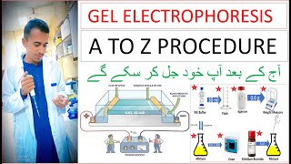 Gel Electrophoresis  How to prepared gel  Principle of gel Electrophoresis  Protocol of GEP [upl. by Soinotna]