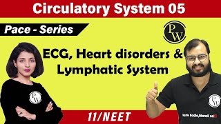 Circulatory System 05  ECG  Heart Disorders  Lymphatic System  Class 11  NEET  PACE SERIES [upl. by Hopfinger]