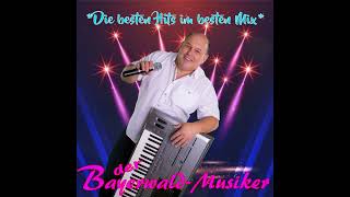 BayerwaldMusiker  Popschlager  Vergissmeinicht CoverSchlagerpiloten [upl. by Afra71]