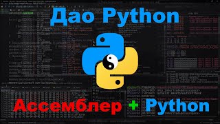 Ассемблер и Python  Дао общих интересов [upl. by Akisej916]