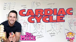 Cardiac Cycle [upl. by Akemad]