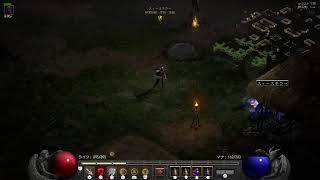 【Diablo2 R】Chargerパラ Hell ACT3から [upl. by Ruhl535]