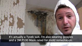 Killing Toxic Black Mold  How to Remove Mold Safely [upl. by Reta]