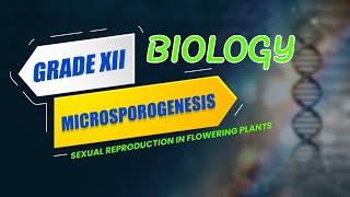 CBSE Class 12 Biology  Microsporogenesis Sexual Reproduction in Flowering Plants Video Lecture [upl. by Eul994]