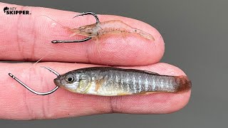 Using TINY LIVE BAIT Tiny Minnows VS Micro Shrimps [upl. by Middle877]