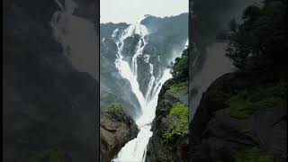 Dudhsagar waterfall goa nature [upl. by Ecyned]