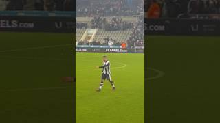 mitros on fire newcastle united [upl. by Knute895]