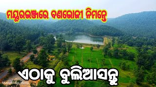 PICNIC SPOT IN MAYURBHANJ ମୟୂରଭଞ୍ଜରେ ବଣଭୋଜୀର ନୂଆ ଜାଗା  MAYURBHANJ MIRROR [upl. by Koren]