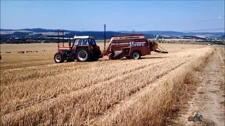 Lisování slámyBaling straw  Zetor 16145  Hesston 4700  ZD Výčapy [upl. by Dav303]