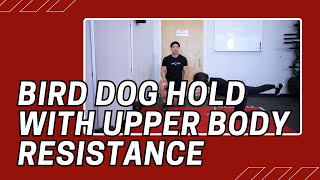 Bird Dog Hold with Upper Body Resistance  Cable Machine Exercise [upl. by Sorkin]