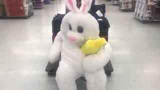 Running Around a Walmart in a Bunny Suit [upl. by Mikes]