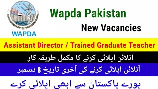 Wapda New Jobs 2024  Complete Process of Online Applying to Wapda amp Fee Submit Process Online 2024 [upl. by Filomena197]