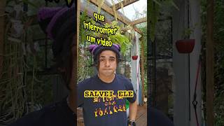 Interrompi o video por causa de um passarinho 👀 shorts [upl. by Coralie]