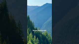 Mountain views from Mount Storm King trail 🌲 Lake Crescent 🏔️ Olympic National Park [upl. by Verge]