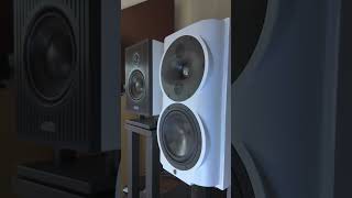 Perlisten Audio S4b Speakers playing the Awesome Hedegaard track Inferno [upl. by Heidie286]