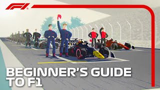 Beginners Guide to F1 [upl. by Zwiebel]