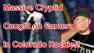 Massive Cryptid caught on camera in Colorado Could it be Abigail storytime nightgod333 [upl. by Hinda]