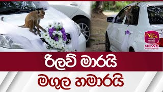 රිලව් මාරයි  මගුල හමාරයි  Rupavahini News [upl. by Novert351]