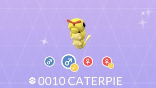 I Evolved My Shiny Caterpie In Pokémon Go [upl. by Aiuqat]