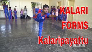 KALARI FORMS Kalaripayattu [upl. by Oinotnanauj733]