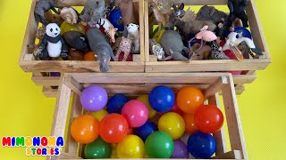 Pelotas de colores ✨ Nombres de Animales 🦁🐼 Videos para niños  Mimonona Stories [upl. by Ed]