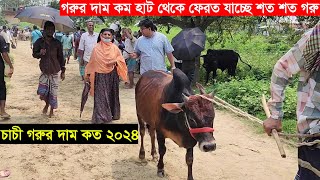 হাটে গরুর দাম কম বিক্রি হচ্ছে না গরু। চাচী গরুর দাম কত 2024 Gorur dam koto [upl. by Arno]