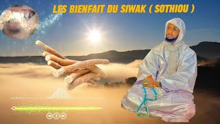 Les bienfait du siwak  sothiou [upl. by Noirad]