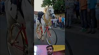 Ghoada Animal in Circles punjabisong dance punjabi newsong trending [upl. by Elah]