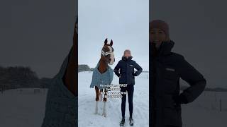 Bestfriend 🥰 equestrian horse horses pony pferde cheval hest trending funny [upl. by Goodrow]