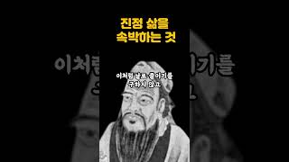 채근담ㅣ홍자성ㅣ최고의 인생지침서ㅣ동양의 탈무드ㅣ슬픈 명언 shorts [upl. by Ardnal]