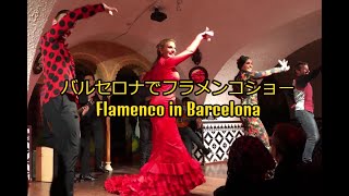 バルセロナで最高のフラメンコショー Flamenco in Barcelona [upl. by December395]