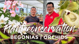 Massive Plant Conservation Center In Taiwan 🇹🇼  Orchids  Begonias  Cryopreservation  Care tips [upl. by Noled]