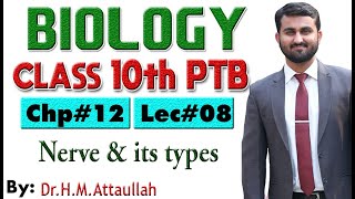 Nerve and its types  Chapter  12  Biology Class 10th  Lec 8 [upl. by Karil]