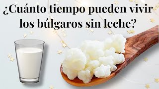 ¿CUÁNTO TIEMPO PUEDEN VIVIR LOS BÚLGAROS SIN LECHE🥛 [upl. by Darahs]