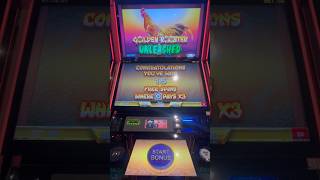 Golden rooster free spins🐔 fyp shorts gambling brothers casino bonus [upl. by Croydon]