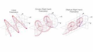 Linear Circular and Elliptical Polarization Animation in a Single Shot [upl. by Ecinhoj858]