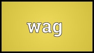 Wag Meaning [upl. by Hnahc]