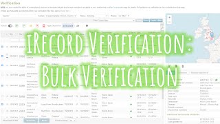 iRecord Verification Bulk Verification [upl. by Ortiz]