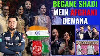 Begani Shade Mein Afghani Dewana  Rashid Khan Reached India for Anant Ambani Wedding [upl. by Ykciv152]