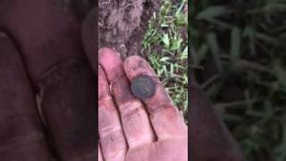 1904 Indian head penny 1941 wheat quotGold ringquot Sheriffs badge [upl. by Soilisav362]