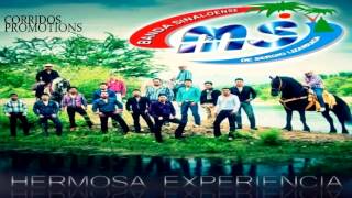 Banda Sinaloense MS de Sergio Lizarraga  Hermosa Experencia Single 2013 [upl. by Dib]