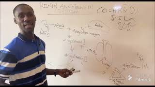 RENIN ANGIOTENSIN SYSTEM Made simple [upl. by Karoly]