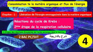 Réactions du cycle de krebs 2ème étape de la respiration cellulaire 2bac pcsvt شرح بالداريجة 4 [upl. by Eboh304]