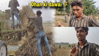 Dhan ki dawai 🌾  Fact Boy MJ [upl. by Zanahs]