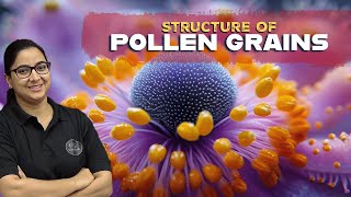 Structure of Pollen Grains  Ch 1 Reproduction in Organisms  Biology  CBSE NEET  XtraMindz [upl. by Raymonds]