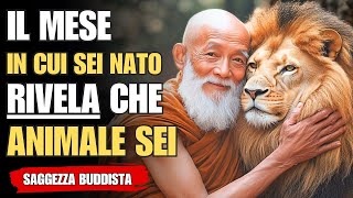 Il Mese in cui Sei Nato ti Dice Che ANIMALE SEI e Rimarrai SENZA PAROLE  Insegnamento Buddista [upl. by Danica336]