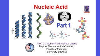 Nucleic Acid Part 1 [upl. by Mcspadden872]