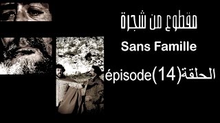 MA9TOU3 MEN CHAJARA SANS FAMILLE Épisode مقطوع من شجرة الحلقة 14 [upl. by Dias]